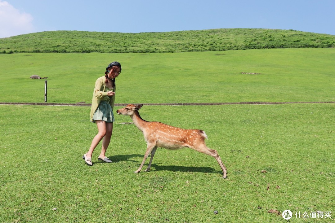小鹿追着女儿要吃鹿饼干　拍摄地点：奈良