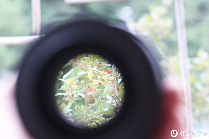 为了看远方，还要更长更长，索尼DH1774增距镜与H300对比