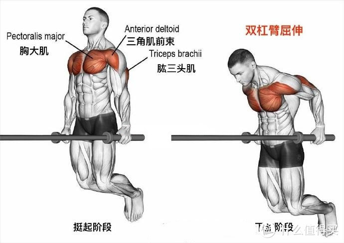 万字长文丨超详细家庭运动装备清单及方案，宅家打造好身材