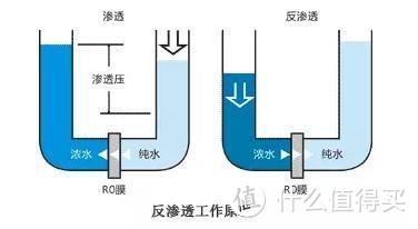 论净水机的必要性：美的阿尔法一体芯净水机 使用评测