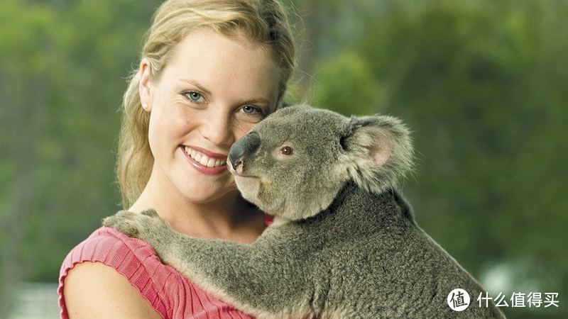 南澳旅游，哪些地方可以抱着考拉拍照