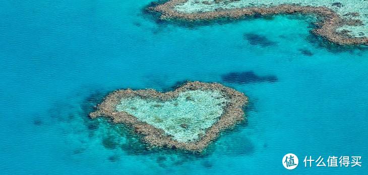 澳大利亚另一种玩法，去汉密尔顿岛探索绵延2000多公里的大堡礁