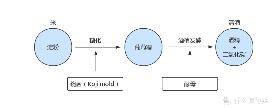 ▲微生物在清酒中扮演的角色