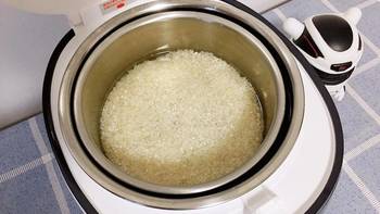 臻米X1脱糖蒸汽养生煲功能体验(控制面板|蒸饭|热菜|热饭|口感)