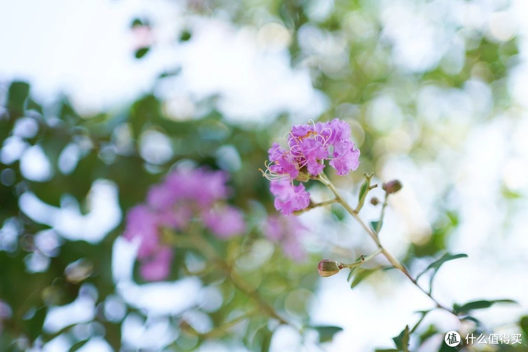 千呼万唤，索尼FE 35/1.8评测