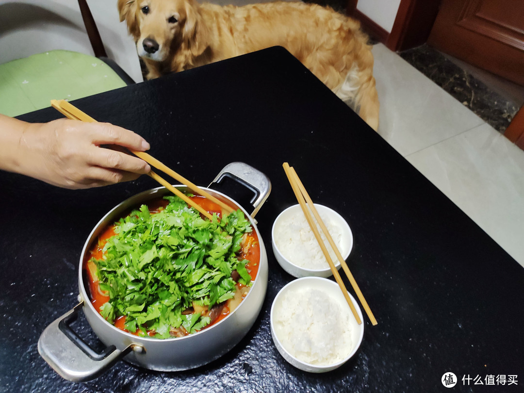 狗狗也闻到香味过来蹭饭了。