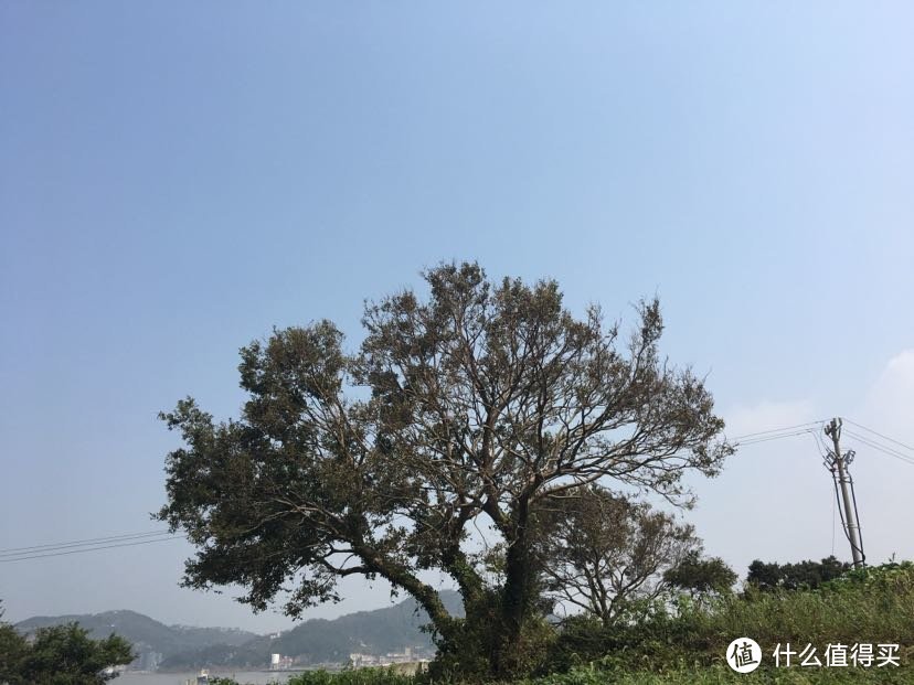 小箬岛/小箬村（五彩斑斓的海边小山村）与坐小船出海未成行与当地特色小吃