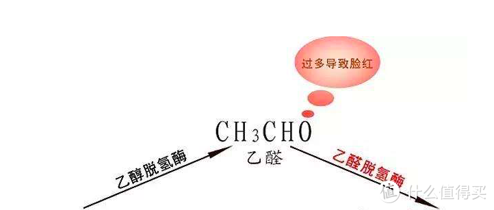 喝酒这件小事——怎样健康地喝酒？