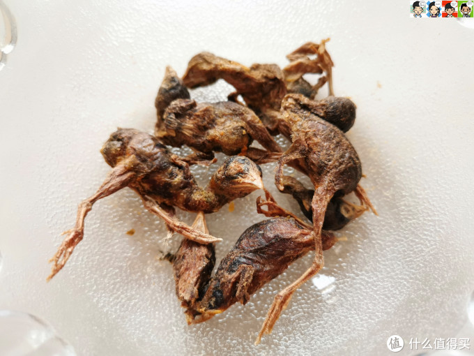 大肚婆娜娜的零食——佩妮6+1宠物冻干