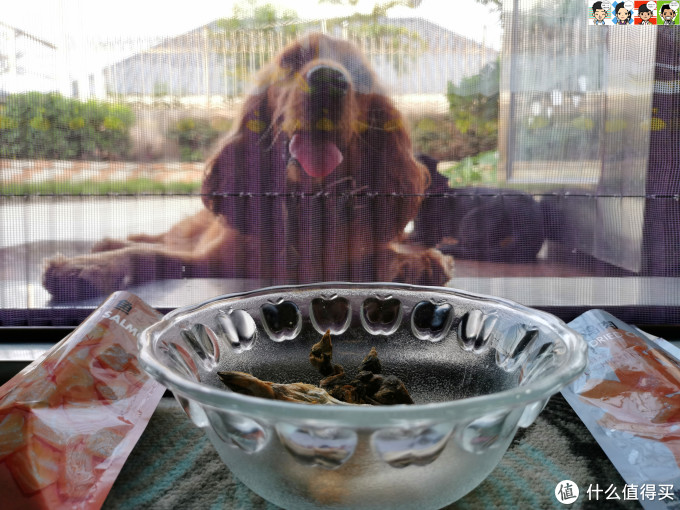 大肚婆娜娜的零食——佩妮6+1宠物冻干