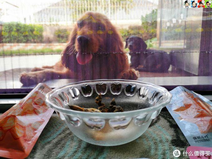大肚婆娜娜的零食——佩妮6+1宠物冻干