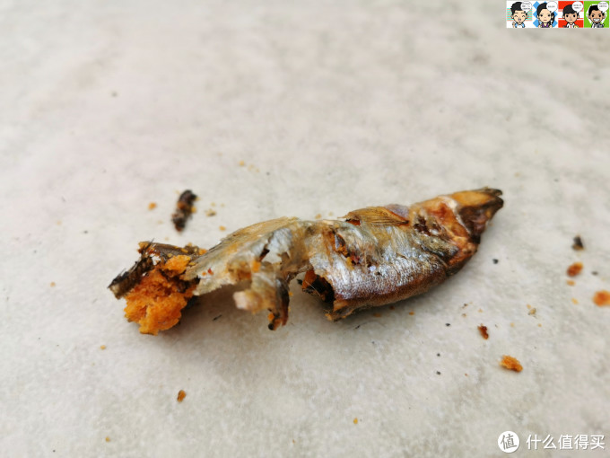 大肚婆娜娜的零食——佩妮6+1宠物冻干