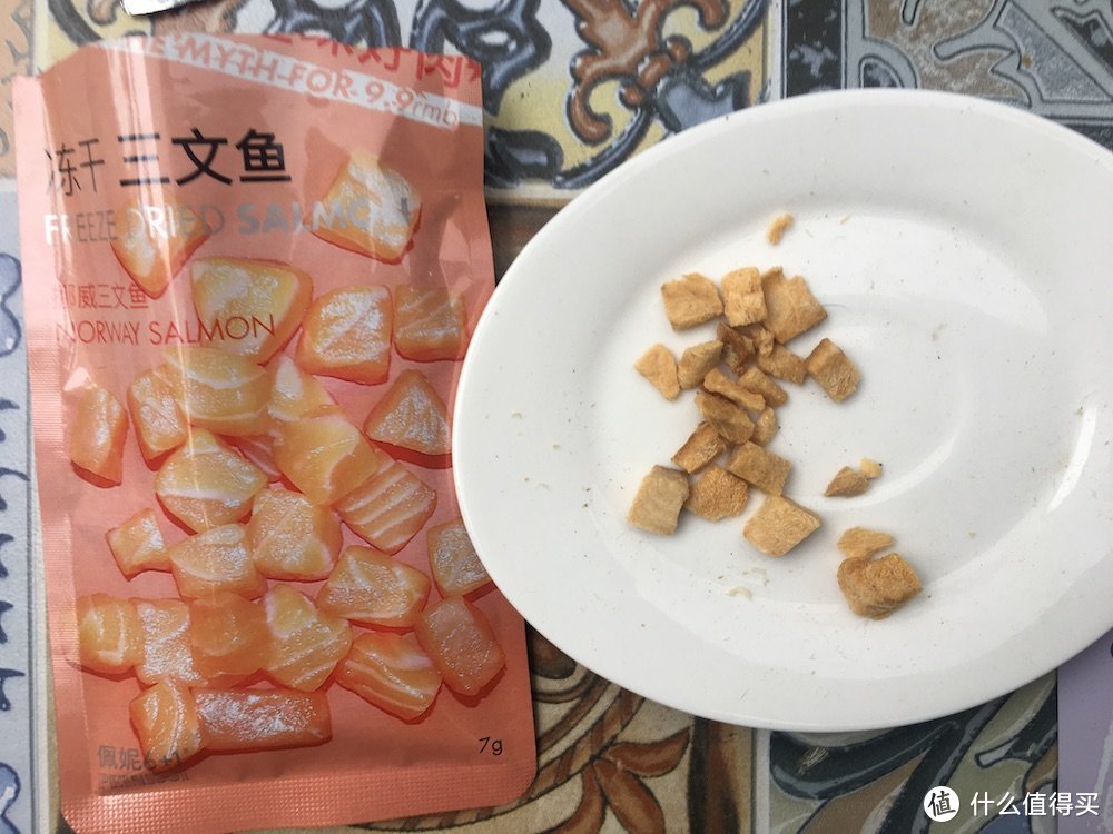 做我的喵和汪有口福，佩妮6+1宠食众测