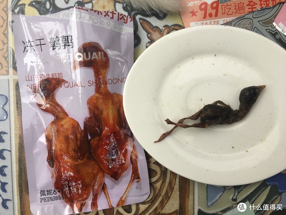 做我的喵和汪有口福，佩妮6+1宠食众测