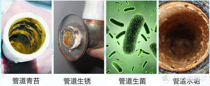 九阳净水器实测：净水器内部也会滋生细菌，没有它真不行！