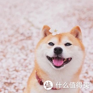 预算十万，一线城市“合肥”，同学半包装修攻略；（持续更新）