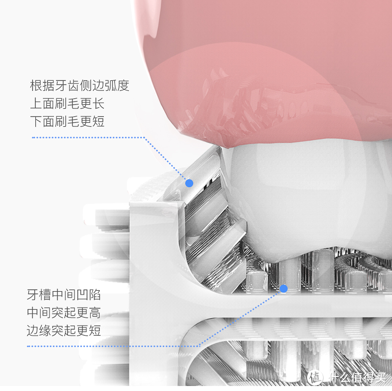 懒人有懒福，洁牙洗牙其实也很容易-艾诗摩尔懒人电动牙刷