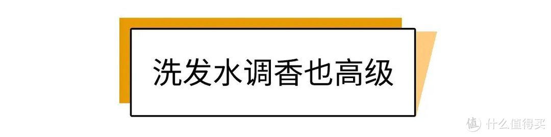 一天洗了4次头发，只为拯救你的油腻扁塌发质