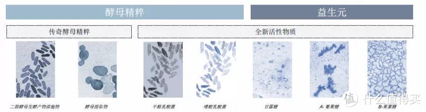 第二代新版小黑瓶，皮肤微生态领域的前沿探路者｜博士颜究院