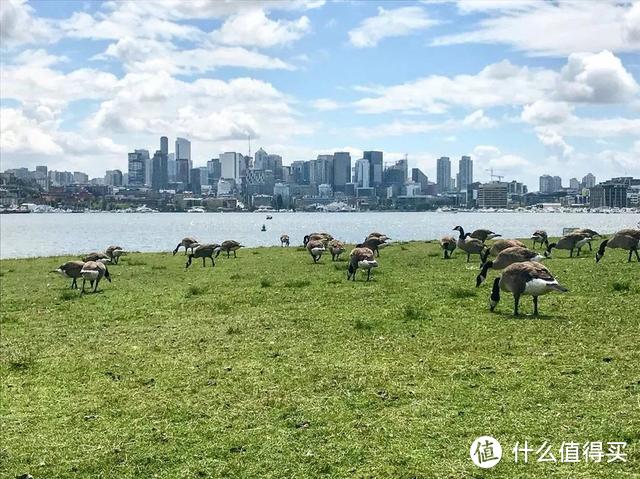 把你的加州公路旅行延长到西雅图吧