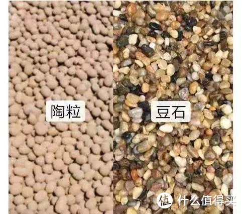 上图：豆石和陶粒