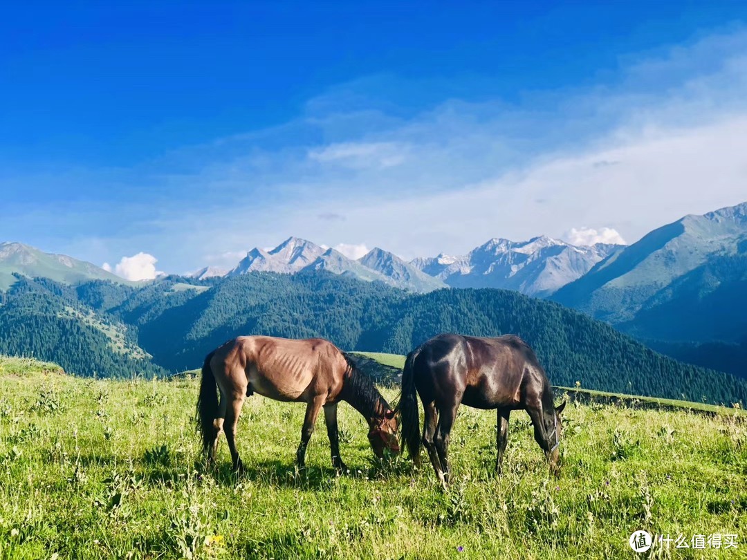 寻梦伊犁河谷，新疆10天环天山该怎么玩？