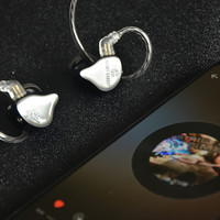 TFZ SECRET GARDEN I耳机听感体验(声音|高频|解析力|人声|三频)