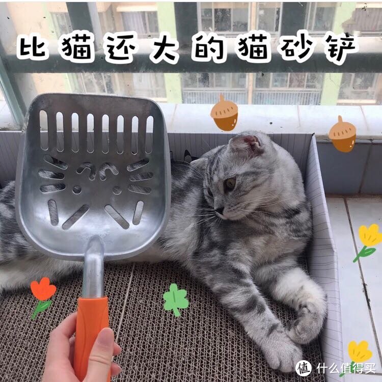 结实的猫砂铲