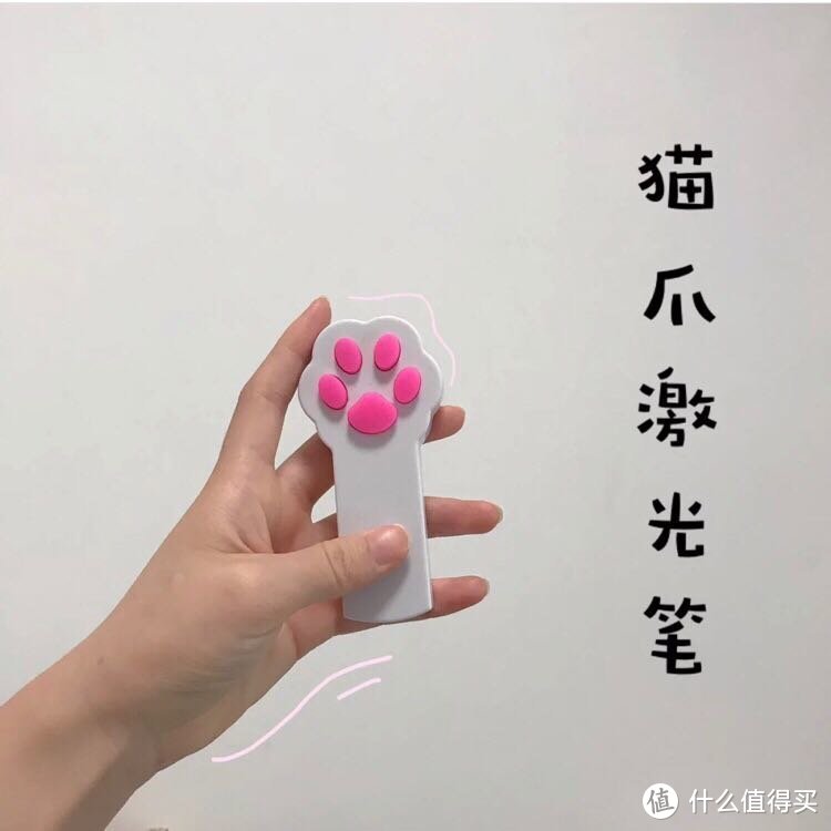 养猫须知 | 这些必备物品 你一定要知道