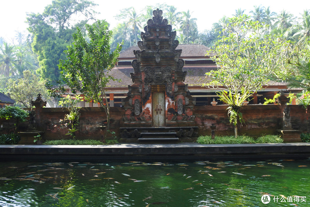 与京打马尼火山共进午餐——沉醉在乌布Ubud周边的风景