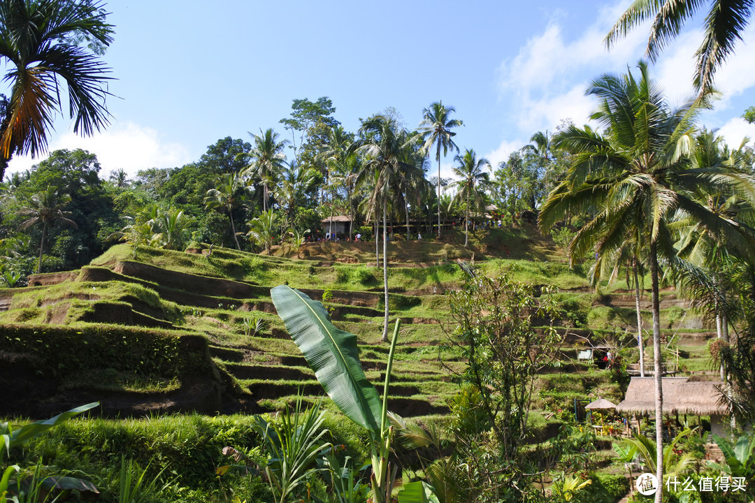 与京打马尼火山共进午餐——沉醉在乌布Ubud周边的风景