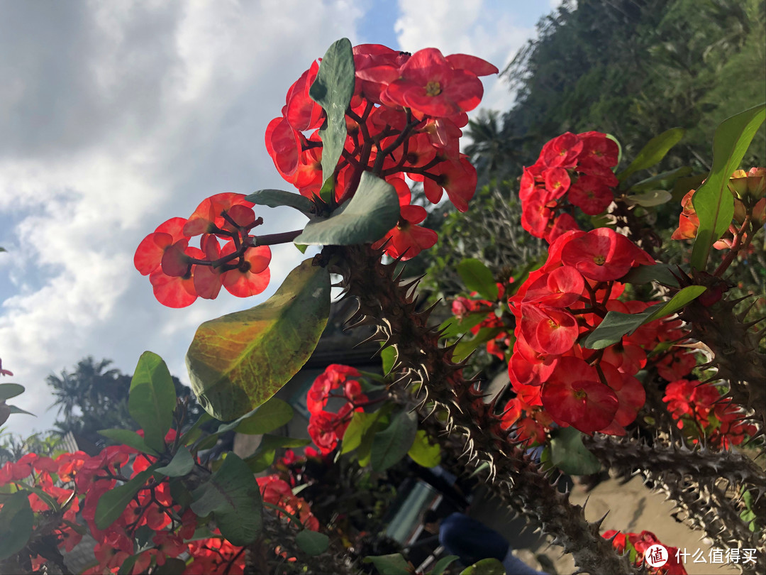 与京打马尼火山共进午餐——沉醉在乌布Ubud周边的风景