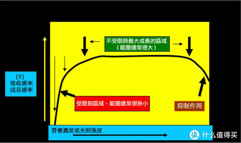 草缸怎么才能避免藻类的困扰 草缸施肥控藻是什么机制 什么值得买