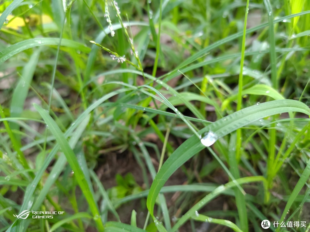 拥有游戏的每个细节，120Hz屏幕的体验：ROG游戏手机2极致体验