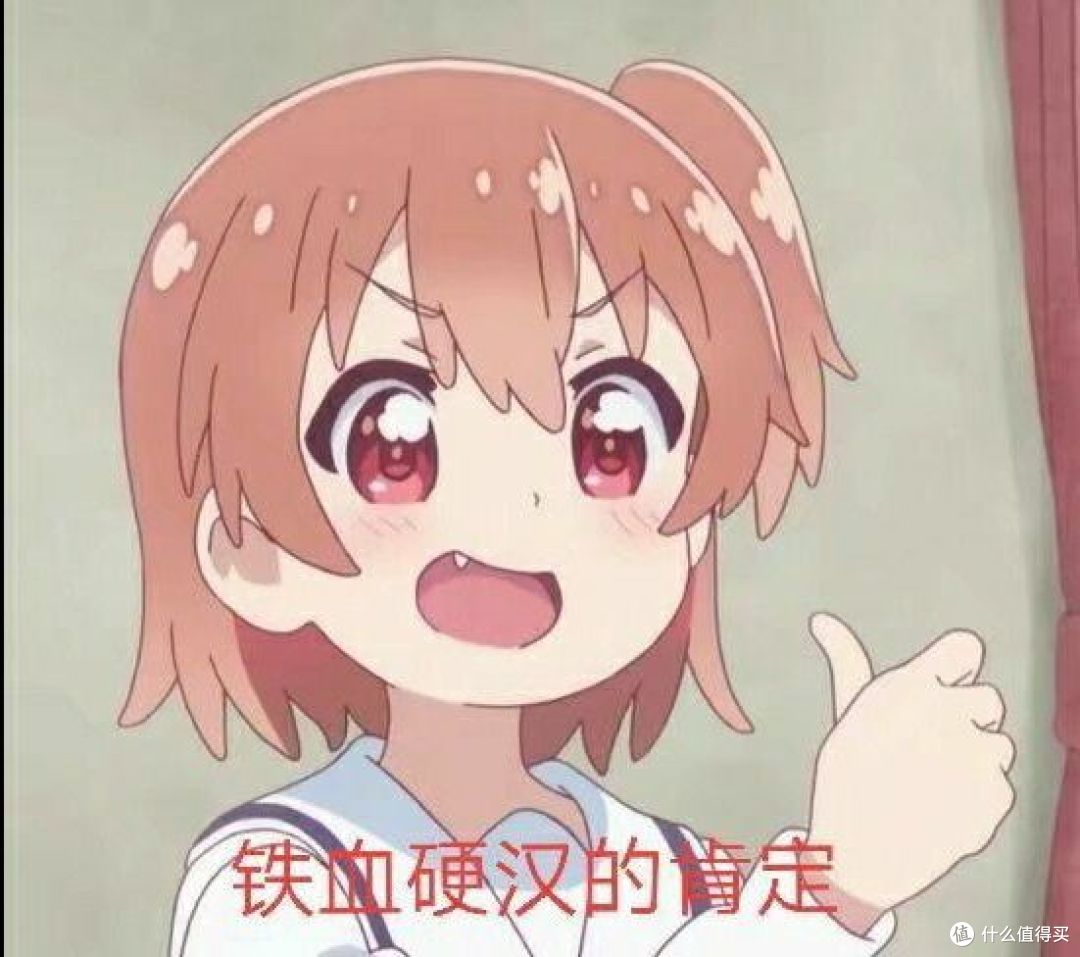 小埋——我这辈子都不会给妹妹看的动漫