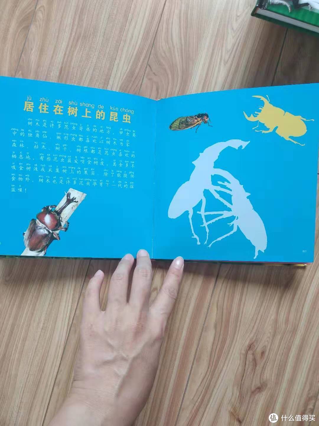 99元选5件的那些值得买的书1--小小知识通：动物海洋恐龙甲虫昆虫