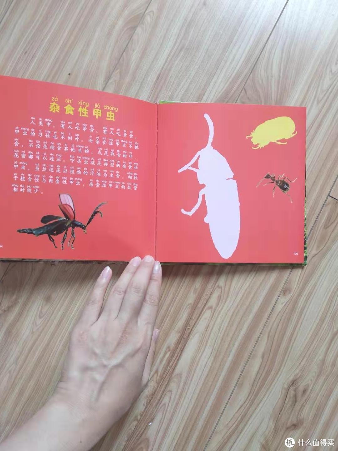 99元选5件的那些值得买的书1--小小知识通：动物海洋恐龙甲虫昆虫