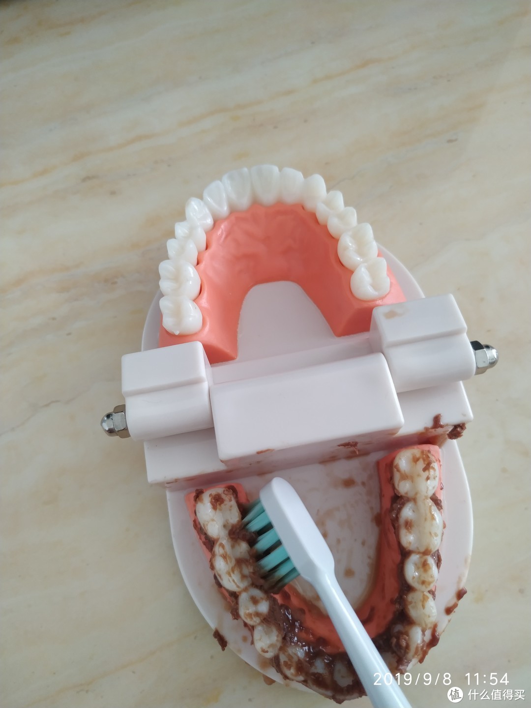 有趣的测评：米家全新电动牙刷T500