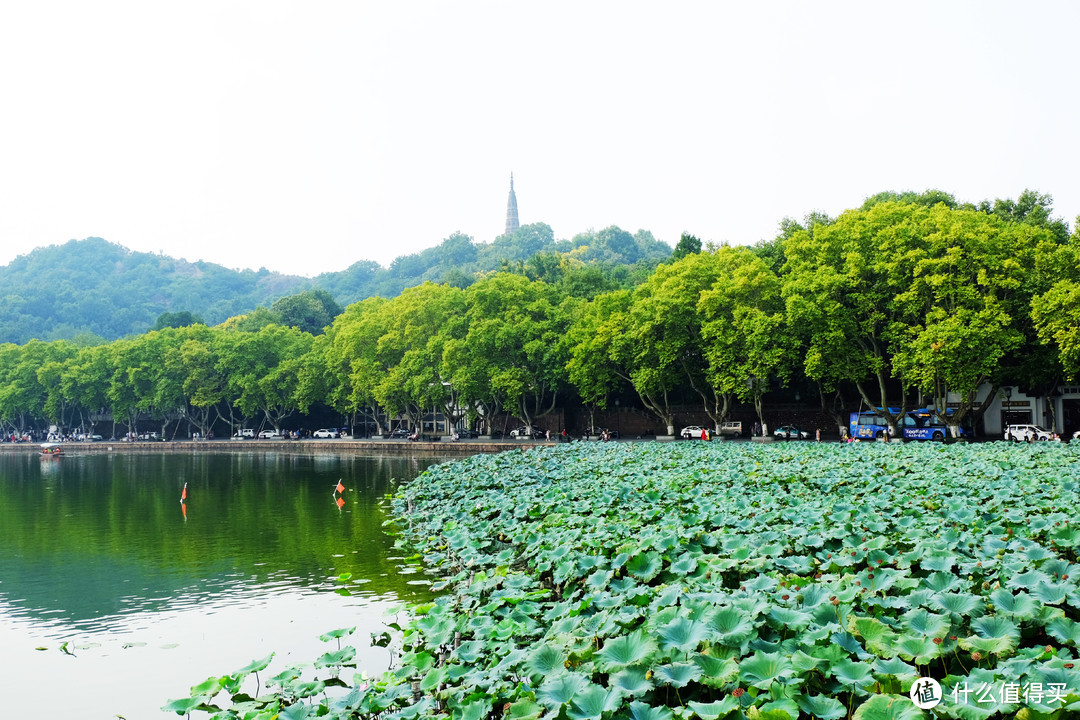 赏西湖美景：杭州断桥半日游记