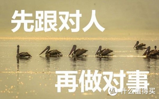 金樱梓：日内黄金行情预测策略及布局，在线解套