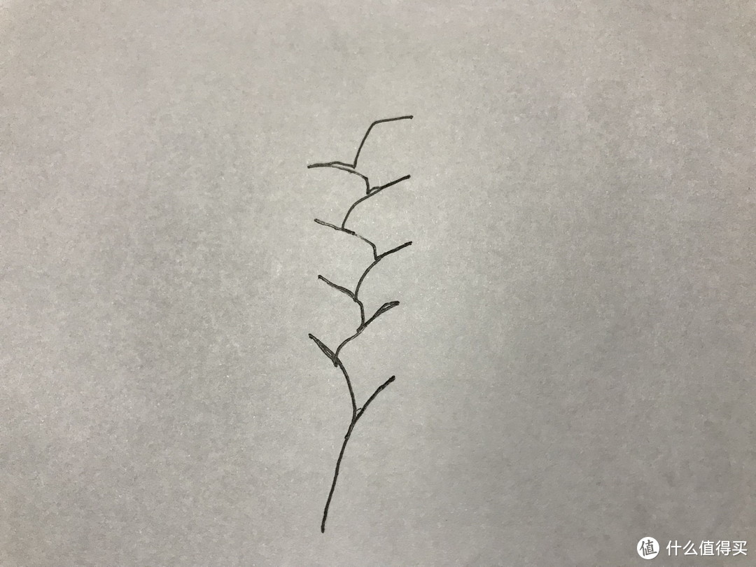 万字长文详细测评：米家 新一代拖扫机器人 VS 石头 T6 拖扫机