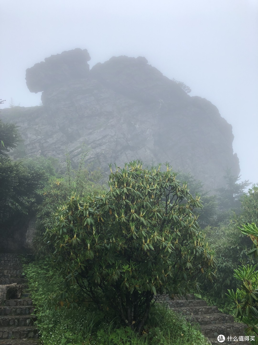 雨雾朦朦中的板壁岩