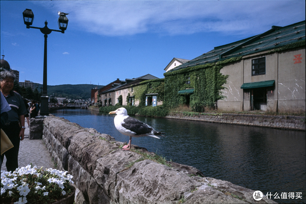 膠片日本遊夏日北海道