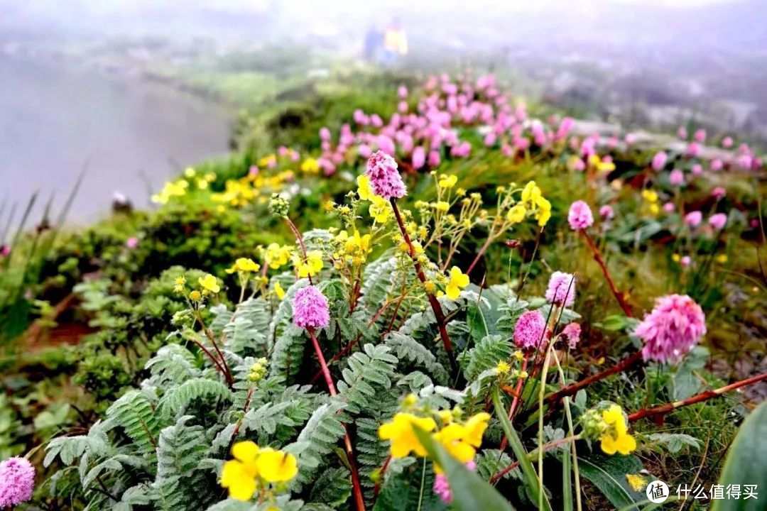 大理印象：没有《天龙八部》的快意恩仇，只有苍山洱海的风花雪月