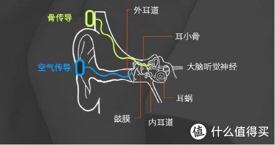 聆听水中颞骨传来的天籁——韶音AS700骨传导播放器评测