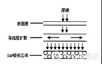 28款宝宝纸尿裤测评：雀氏、BC检出微量增塑剂！