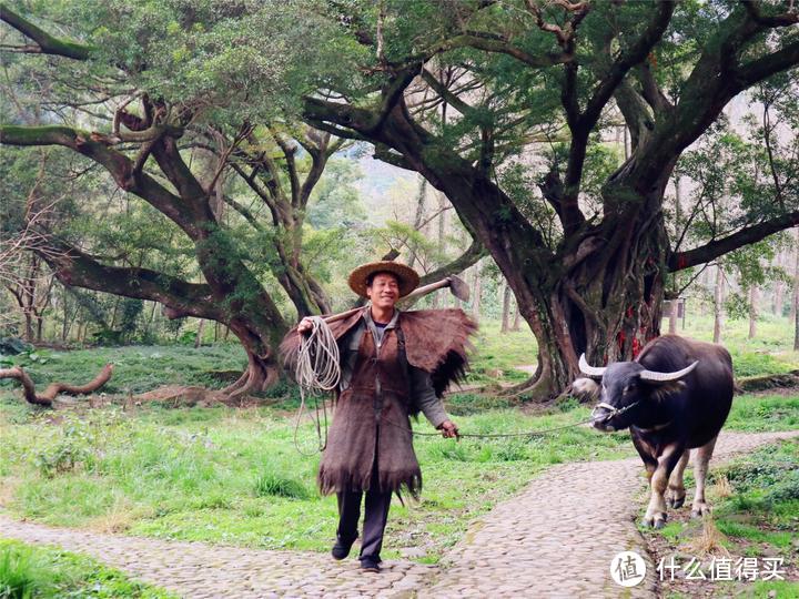 三天两晚霞浦游，错过唯美日落也不能错过美味实惠的海鲜