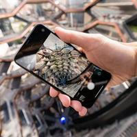iPhone11 Pro手机摄像头体验(自拍|夜间拍摄|亮度|运算)