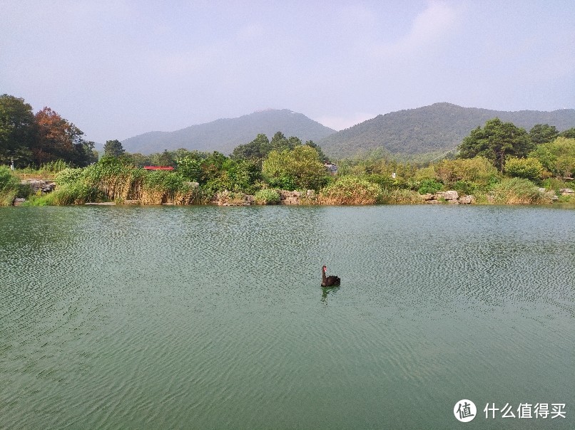 拖娃游记:中秋节金坛茅山宝盛园两日游