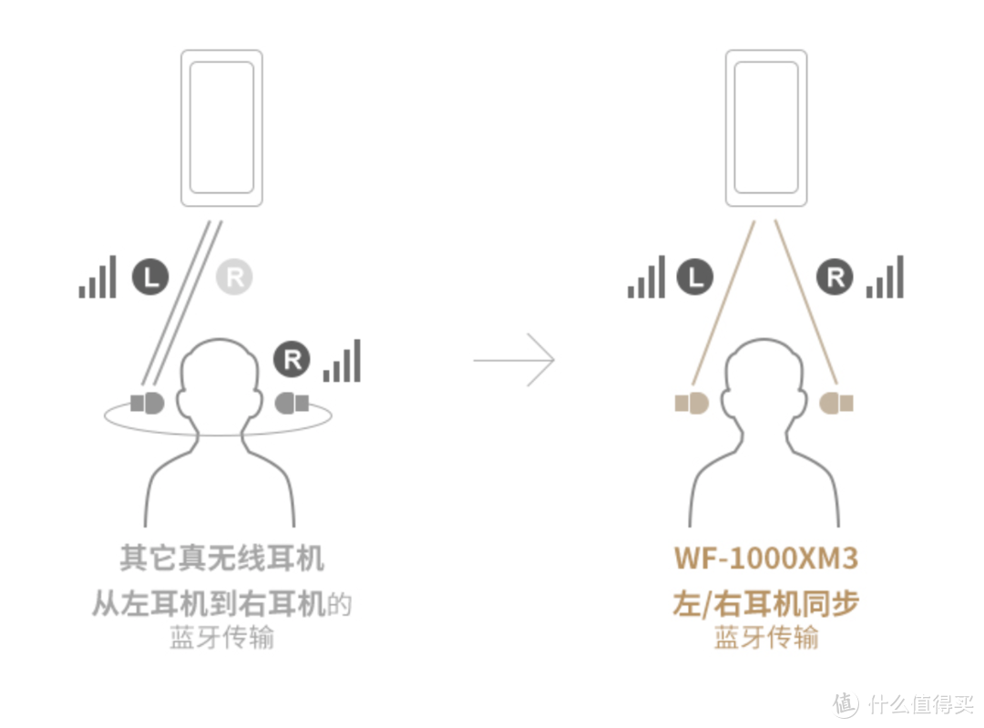 集真无线、降噪和音质于一身，这一款真的超过预期：索尼WF-1000XM3体验